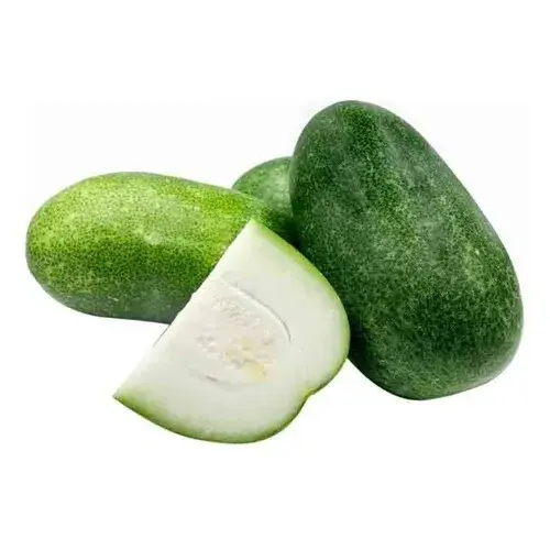 ashgourd