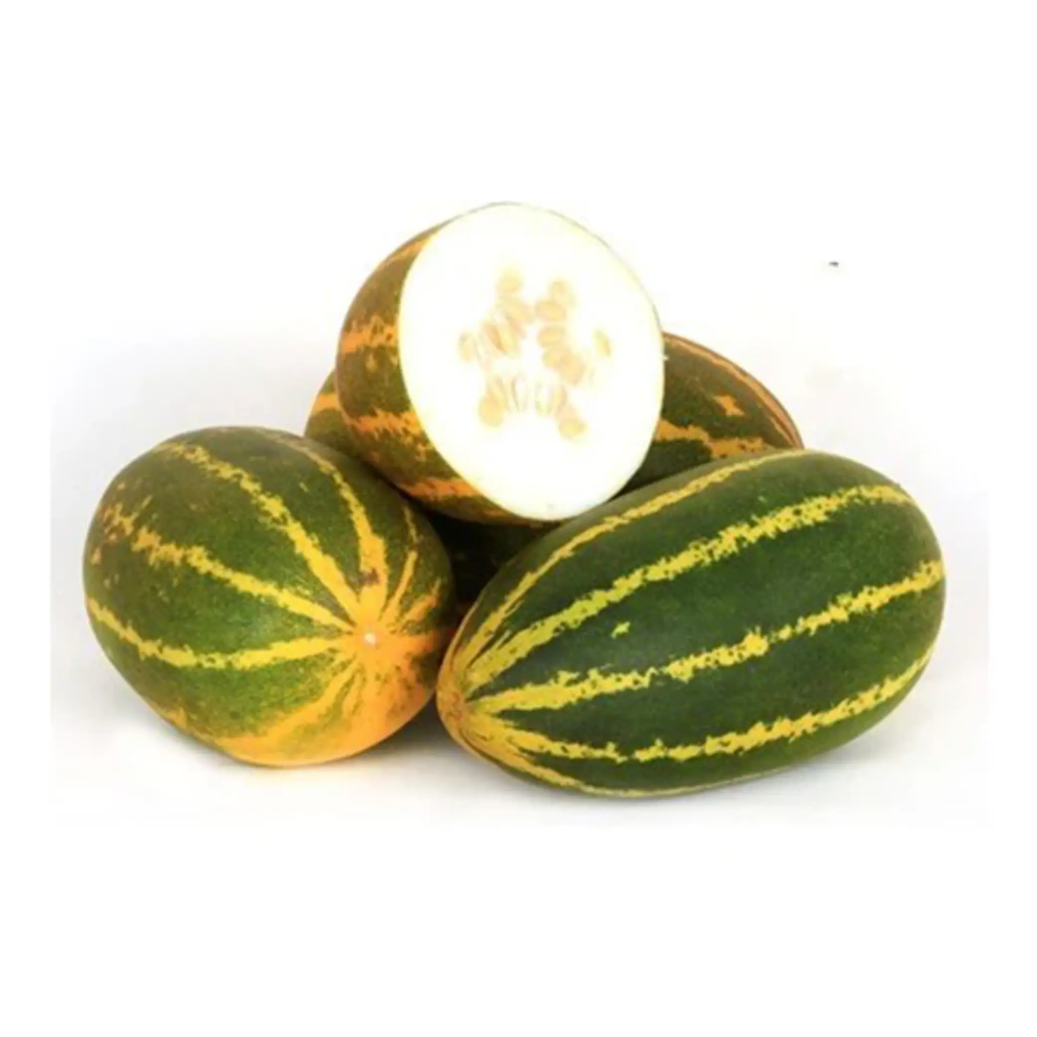 keralacucumber